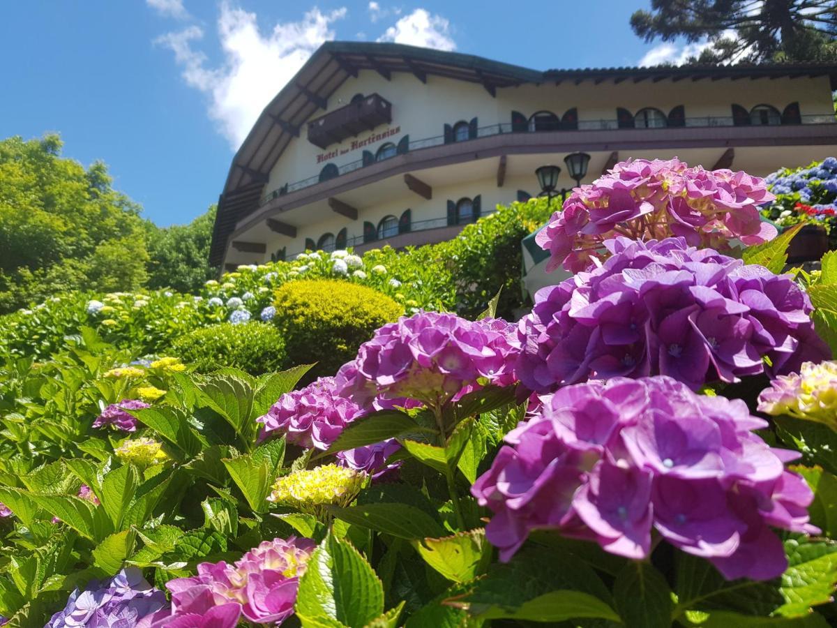 Hotel Das Hortensias غرامادو المظهر الخارجي الصورة